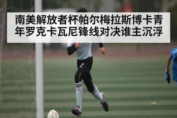 南美解放者杯帕尔梅拉斯博卡青年罗克卡瓦尼锋线对决谁主沉浮